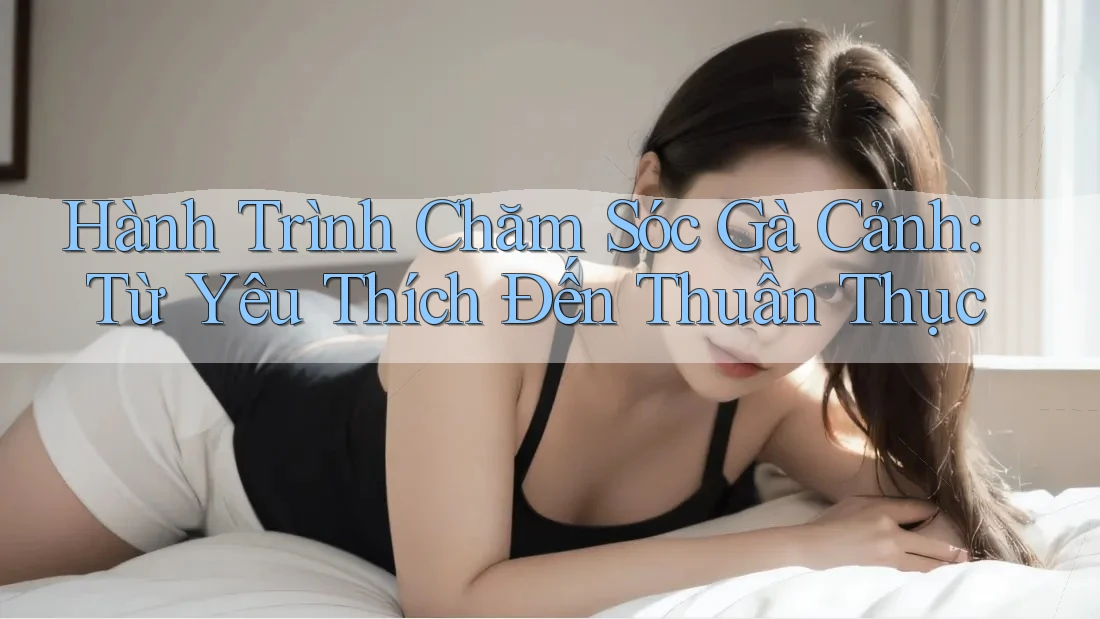Hành Trình Chăm Sóc Gà Cảnh: Từ Yêu Thích Đến Thuần Thục Hành Trình Chăm Sóc Gà Cảnh: Từ Yêu Thích Đến Thuần Thục