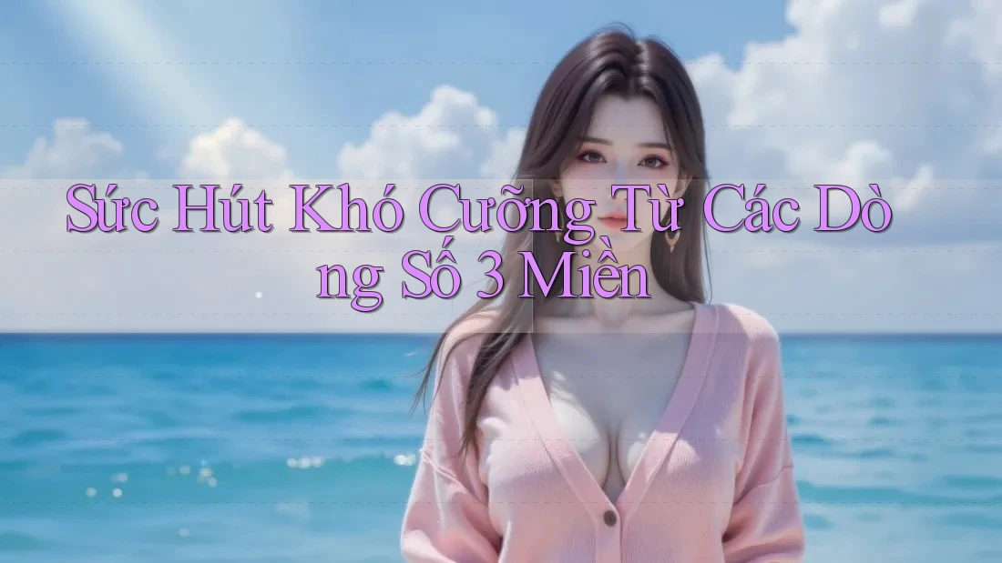 Sức Hút Khó Cưỡng Từ Các Dòng Số 3 Miền Sức Hút Khó Cưỡng Từ Các Dòng Số 3 Miền