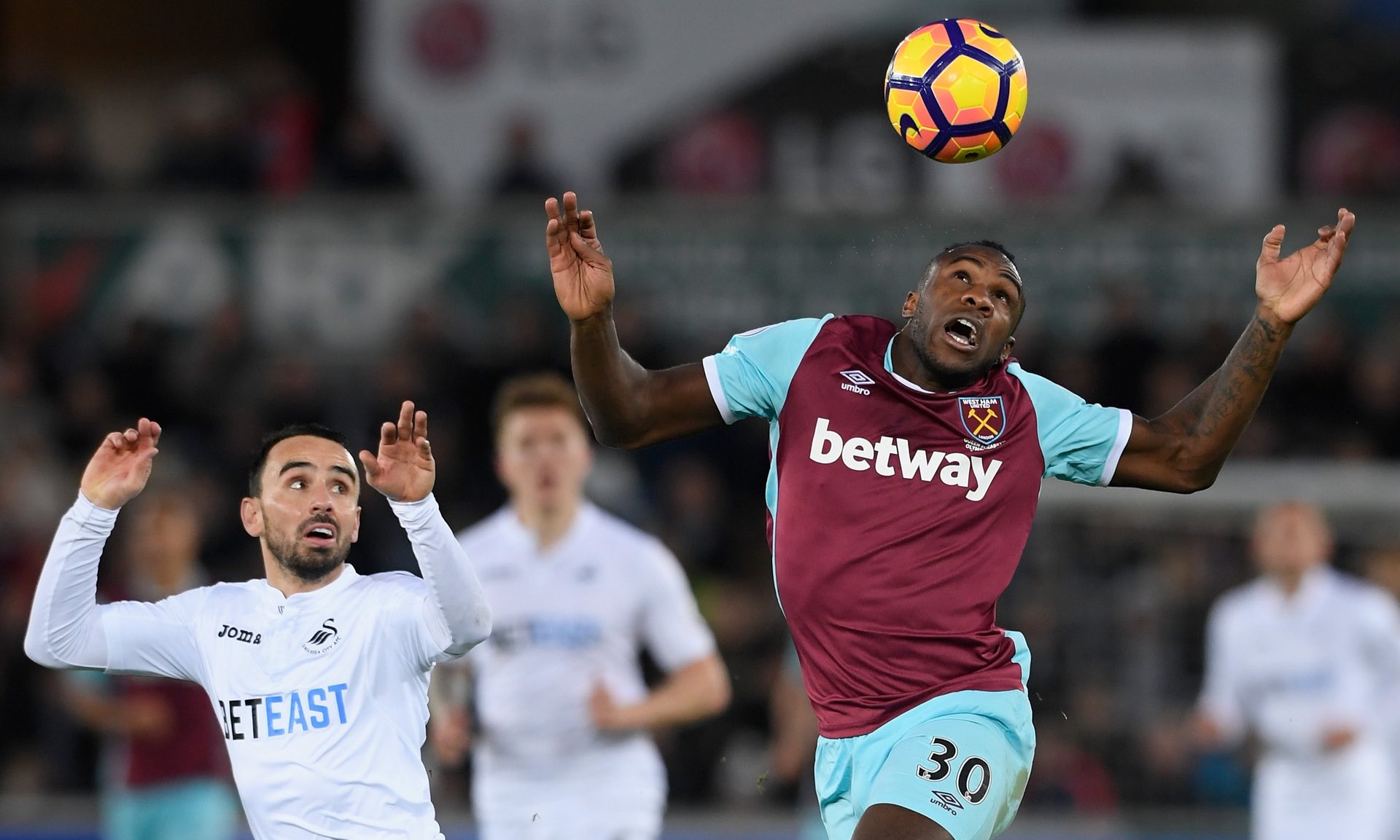 这两位新星 这两位新星